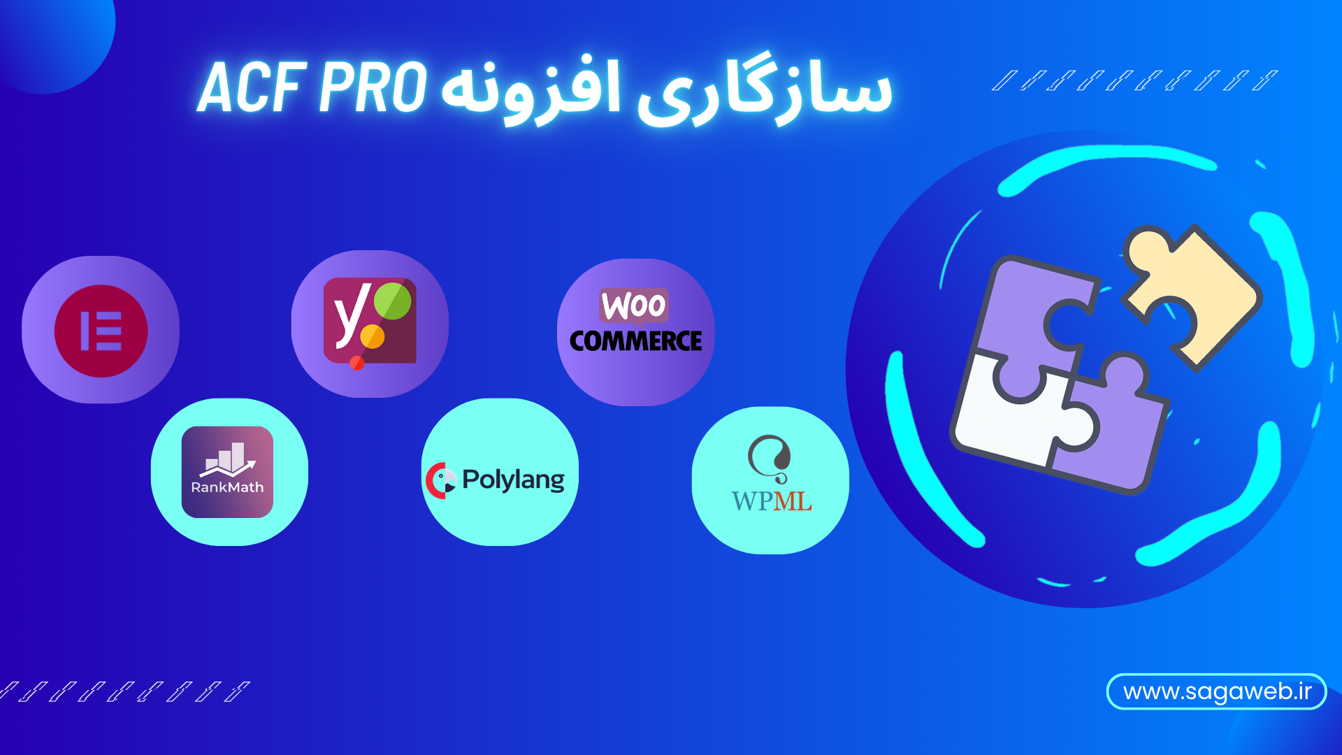 افزونه ACF Pro 
