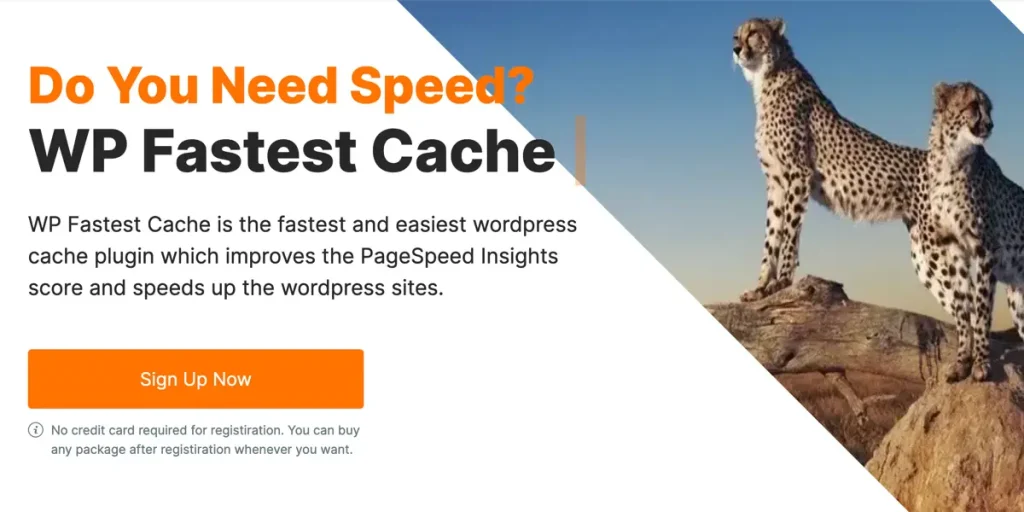 wp fastest cache
